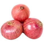 fresho! Onion Economy, Institutional, 1 kg